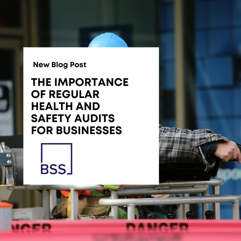 health and safety audits for businesses